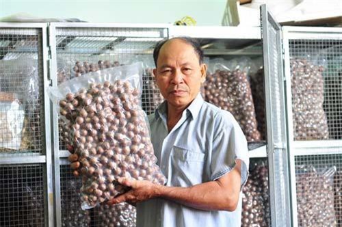 Tìm đường xuất khẩu mắc ca