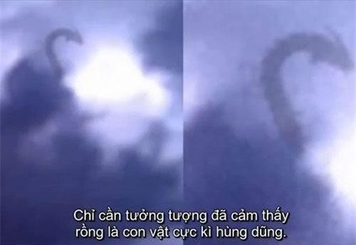 Top 5 tình huống bắt gặp rồng ngoài đời thực