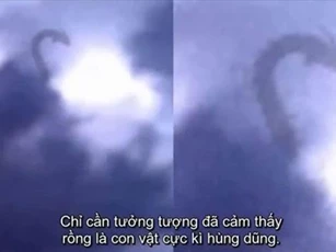 Top 5 tình huống bắt gặp rồng ngoài đời thực