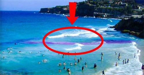 Clip: Nếu gặp nhũng thứ này ở ngoài bãi biển - hãy tránh xa ngay lập tức!
