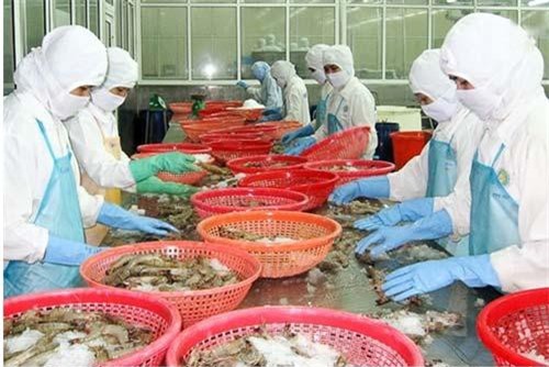 Gần 700 doanh nghiệp chế biến thủy sản được xuất khẩu sang Trung Quốc