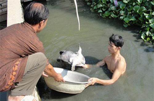 Sơn La: 'Thuyền trưởng' của HTX Hương Son giúp thành viên làm giàu