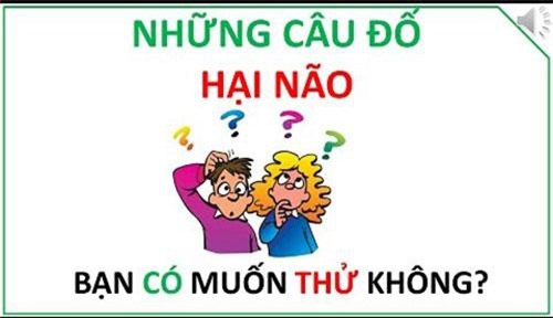 'Xoắn não' với câu đố kiểm tra sự logic dưới đây