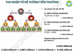 Bộ Công Thương: Người dân không nên tham gia mạng đa cấp trái phép Greenleaf