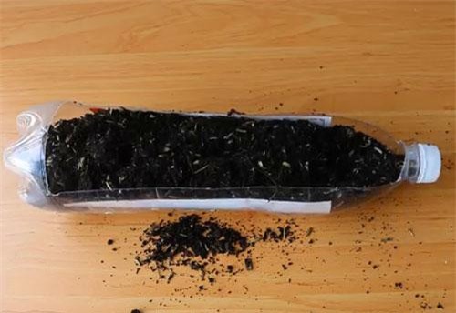 CLIP: Hướng dẫn trồng hành tại nhà dễ dàng nhất