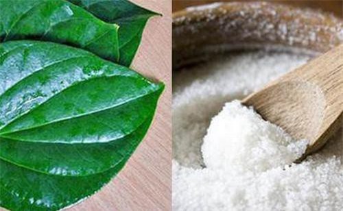 Cách làm đẹp da bằng lá trầu không có thể bạn chưa biết