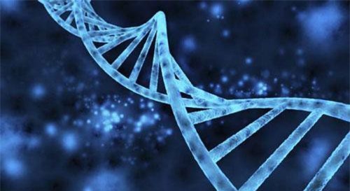 Rất có thể cơ thể bạn đã nhiễm DNA ngoài hành tinh