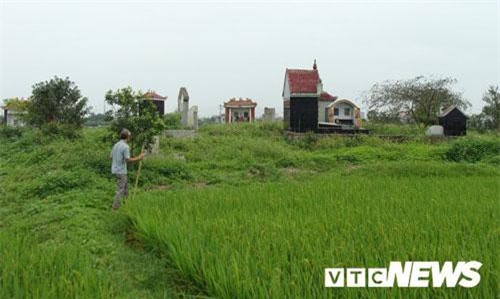 Thoải mái tàn phá nghĩa địa mộ cổ khổng lồ chứa cả tấn báu vật ở Hải Dương (kỳ 4)