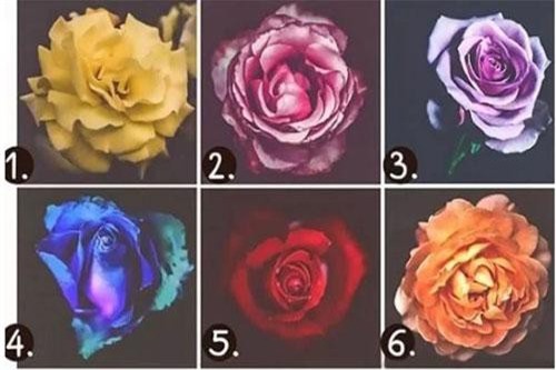 Trắc nghiệm: Bạn sở hữu đặc điểm 'vạn người mê' nào trong tính cách?