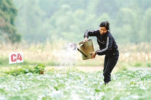 Tràng Định, Lạng Sơn đẩy mạnh phát triển HTX gắn với xây dựng nông thôn mới