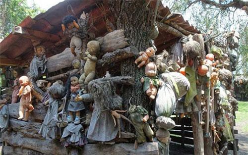 Clip: 10 hòn đảo đáng sợ và nguy hiểm nhất thế giới mà bạn không nên đặt chân tới