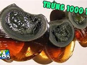 Clip: Điểm qua 11 món ăn có tuổi đời lâu nhất thế giới