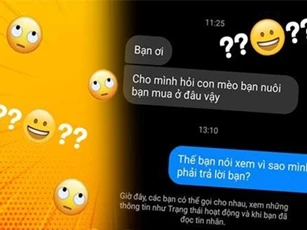 Dân mạng 9 người 10 ý vụ gái xinh hỏi 'mua mèo ở đâu' thì bị vặn vẹo: Ai mới là người bất lịch sự, vô duyên đây?