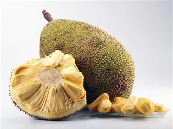 Những lợi ích ít biết của trái mít với sức khỏe