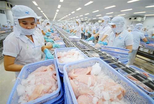 Quyết định sơ bộ về POR15 cho cá tra Việt Nam