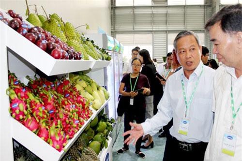 Thương mại hóa vựa nông sản miền Tây