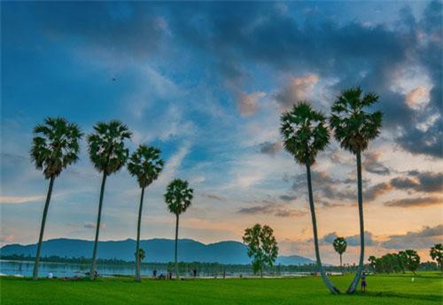 Tỉnh nào ở nước ta là xứ sở của cây thốt nốt, có lễ hội truyền thống là đua bò và món ăn đặc sản khiến nhiều người khiếp sợ?