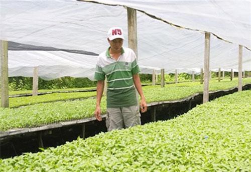 Trà Vinh: Rời ghế cán bộ, lập nghiệp với HTX ớt