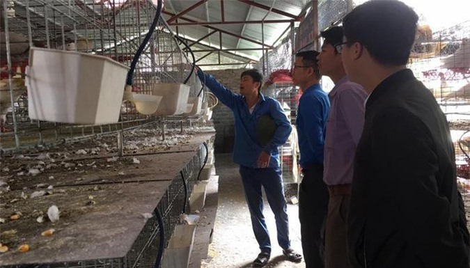 Vay vốn ưu đãi tạo việc làm ổn định