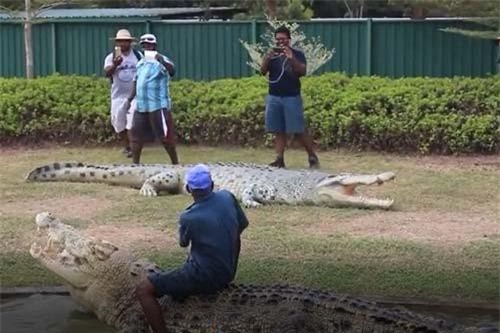 CLIP: Người đàn ông liều mạng 'giỡn mặt tử thần'