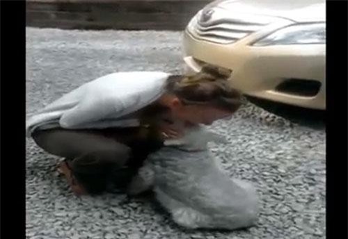 Chú chú 'khóc ngất' khi gặp chủ sau 2 năm khiến hàng triệu người rơi nước mắt