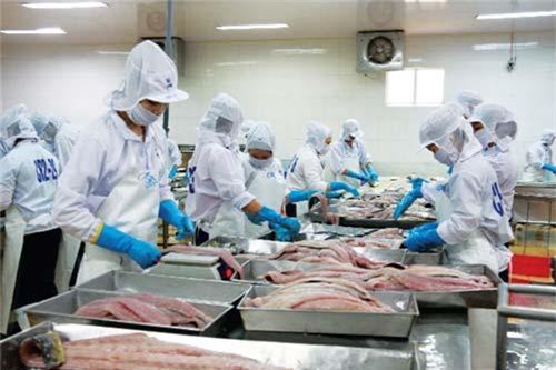 Doanh nghiệp cần rà soát triệt để nguyên liệu hải sản