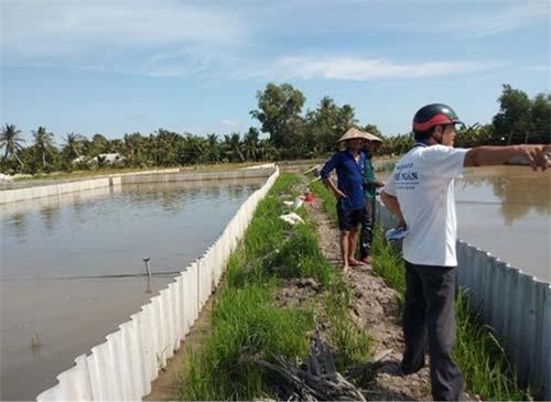 Hậu Giang: Mô hình nuôi Baba trên ruộng lúa mang lại hiệu quả ở xã Vị Thủy