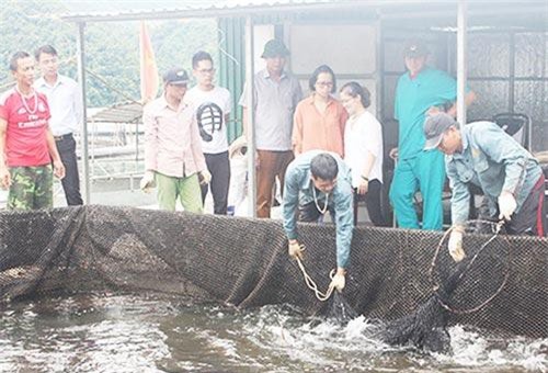 Mường La, Sơn La: Điểm sáng HTX trong xây dựng nông thôn mới