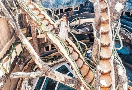 Những điểm đặc biệt trong 'ngôi nhà điên' ở Đà lạt
