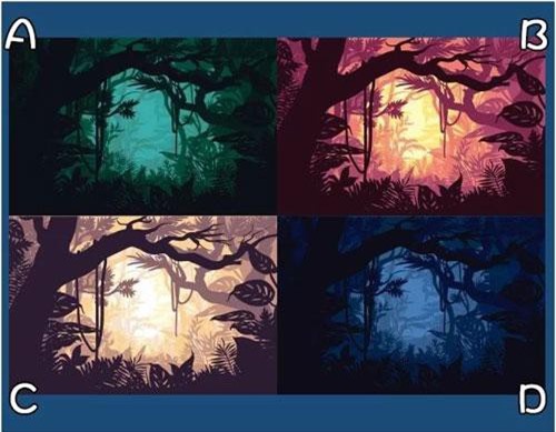 Trắc nghiệm: Tìm hiểu cách bạn thể hiện khi tiếp xúc với người lạ