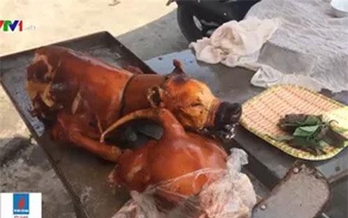 Cần đưa thịt chó vào diện kiểm soát giết mổ