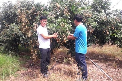 HTX giúp nhiều thanh niên khởi nghiệp