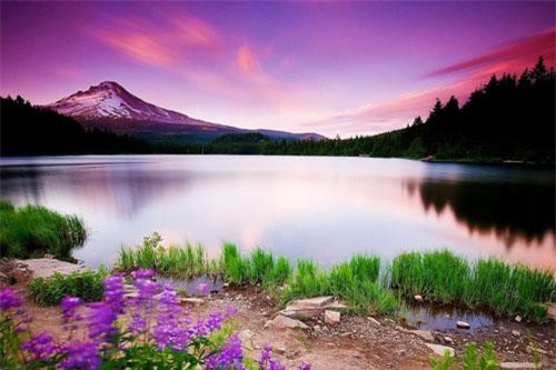 Sinh trúng 8 ngày đại cát này không đại gia cũng thành tỷ phú