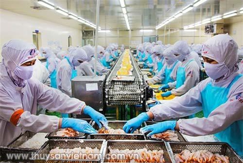 Thủy sản Việt Nam tận dụng cơ hội để bứt phá