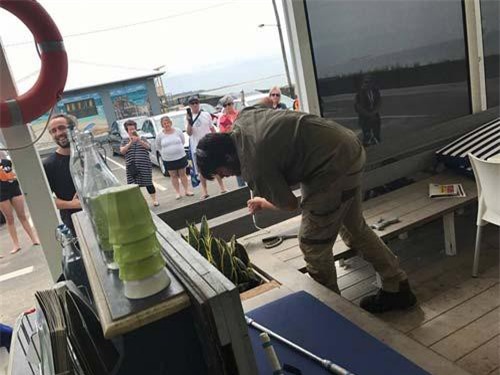 Tưởng khách quên đồ chơi, hóa ra là rắn kịch độc