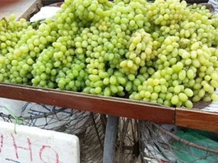 Ăn nho xanh không hạt: Đừng ham rẻ vì ảnh hưởng sức khỏe!
