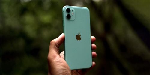 Apple sẽ 'hy sinh' iPhone 11 Pro và 11 Pro Max để dồn lực cho iPhone 11