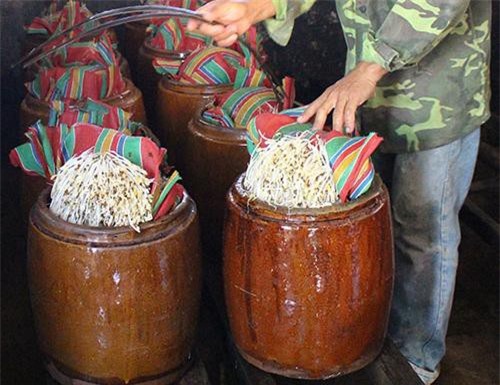 Lâm Đồng: Làm giàu từ nghề làm giá sạch