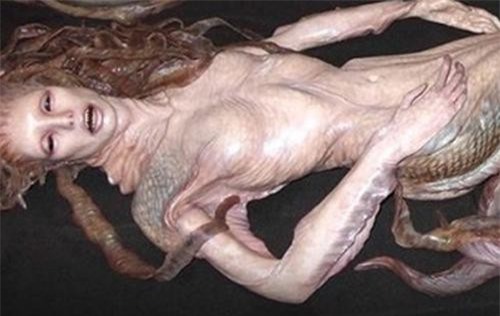 'Nàng tiên cá' chết trên bãi biển và sự thật bất ngờ