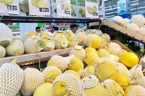 Nhiều dư địa cho xuất khẩu rau quả