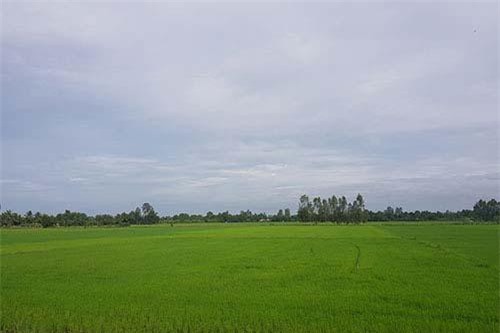 Phát triển nông nghiệp: Cần gỡ bỏ những rào cản từ chính sách đất đai