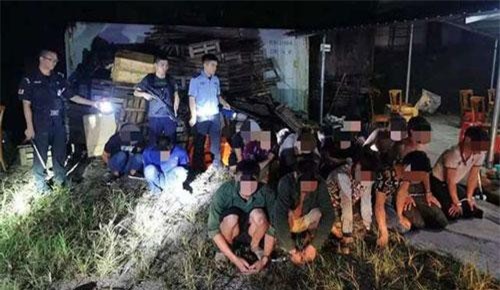 Trung Quốc thu giữ hơn 3.500 con khỉ và cá sấu nghi buôn lậu từ Việt Nam