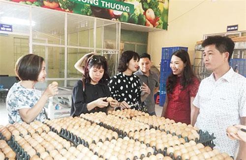 Xây dựng thương hiệu bằng chất lượng sản phẩm