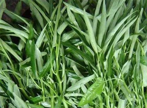 3 điều không nên làm khi ăn rau muống ai cũng phải nhớ
