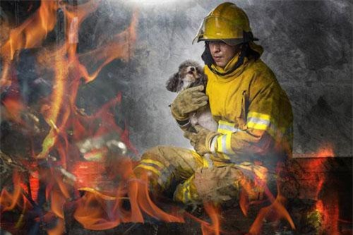 Chó cưng thông minh cứu nhà chủ khỏi chết cháy ngoạn mục