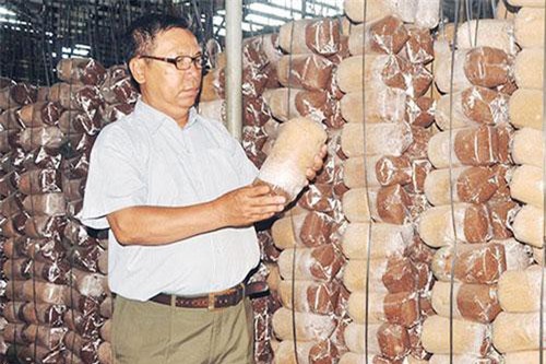 Đồng Nai: Cựu chiến binh vượt khó giúp nhau khởi nghiệp