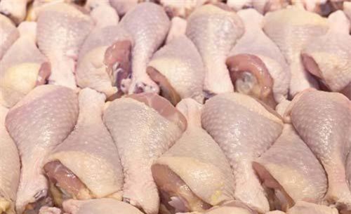Giá thịt gà nhập khẩu về tới cảng Việt Nam bình quân 850 USD/tấn