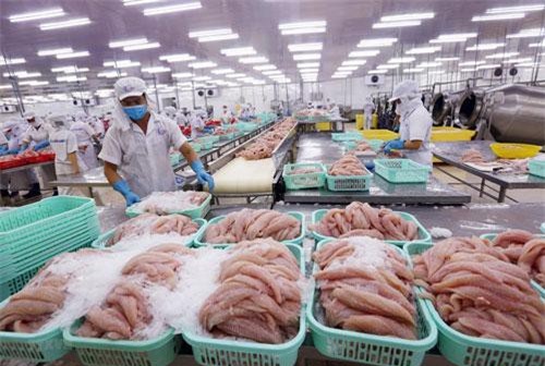 Giải giáp thúc đẩy xuất khẩu thủy sản những tháng cuối năm