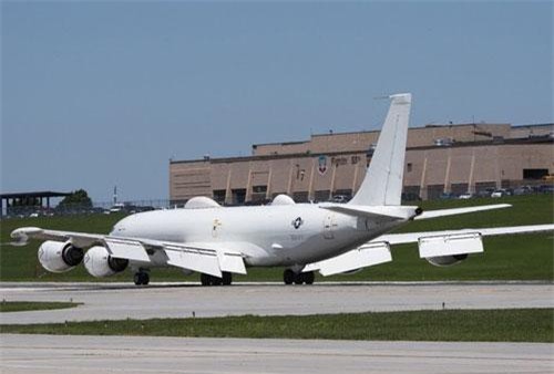 Mỹ mất 2 triệu đô vì chim đâm trúng máy bay 'Ngày tận thế'