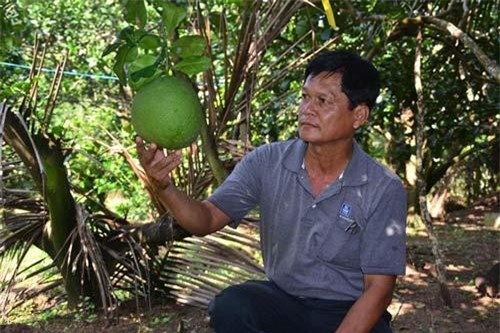 Nông sản rõ 'lai lịch' rộng đường xuất khẩu